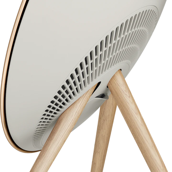 Beosound A9 5 Gen.
