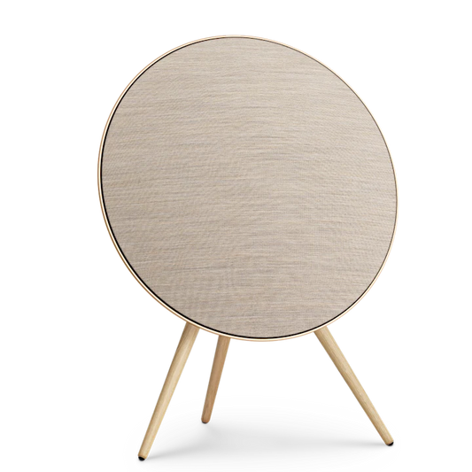Beosound A9 5 Gen.