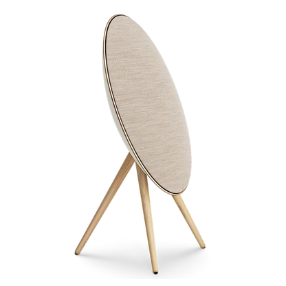 Beosound A9 5 Gen.
